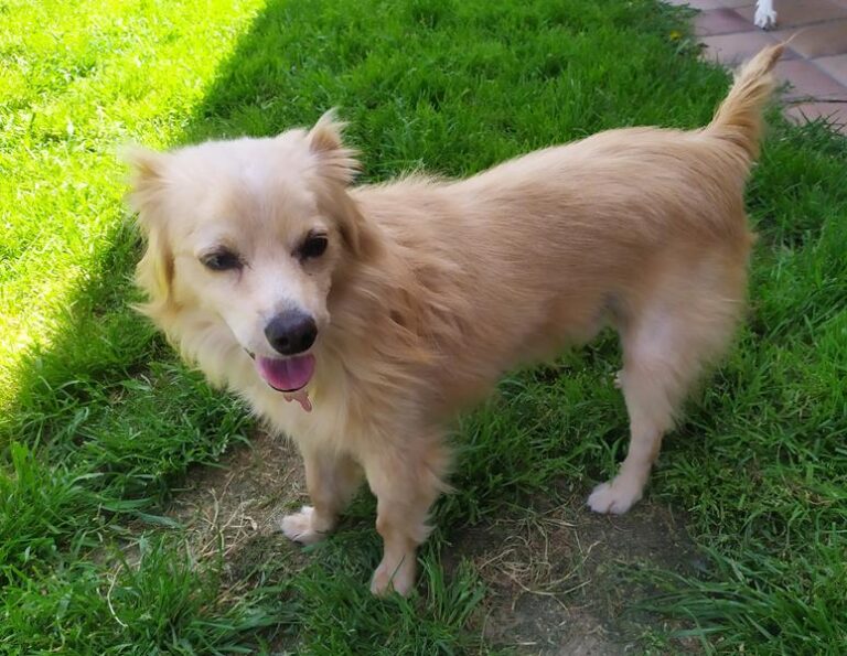 multimedia-foto63279-658-1