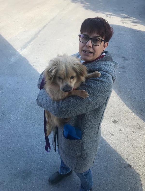 multimedia-foto63280-658-1