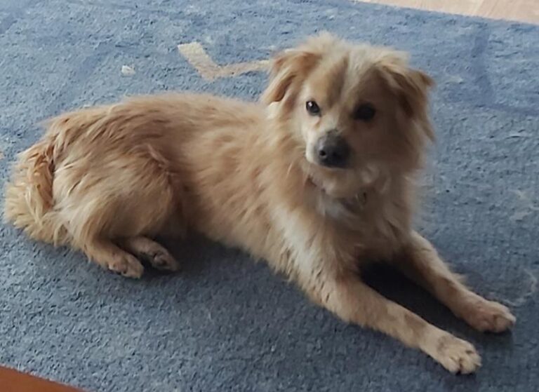 multimedia-foto63281-658-1