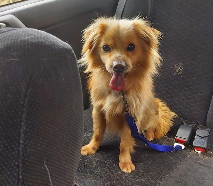 multimedia-foto63282-658-1