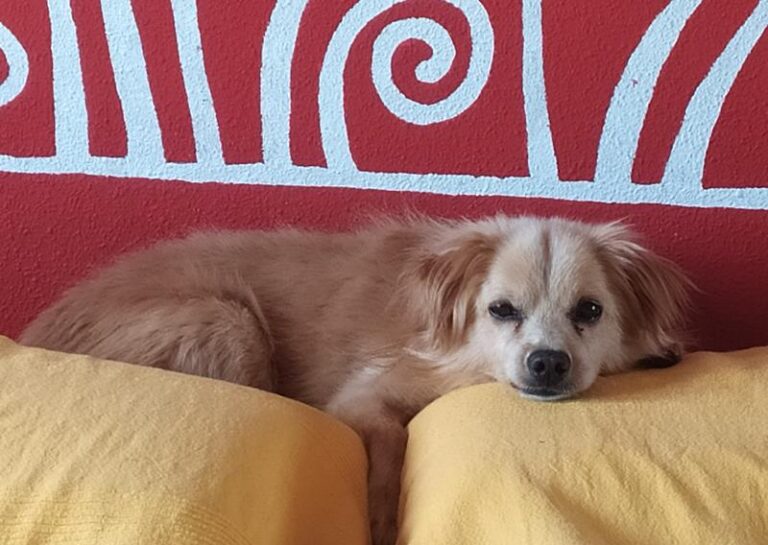 multimedia-foto63284-659-1