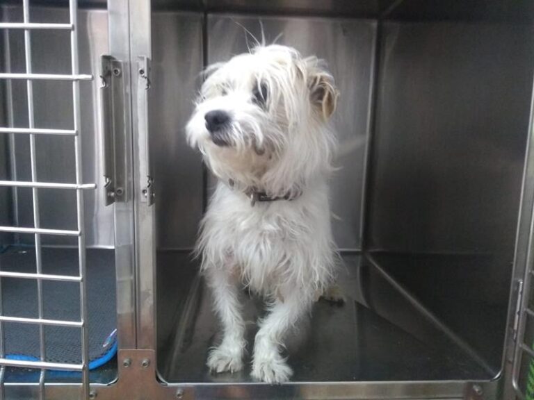 multimedia-foto63297-871-1