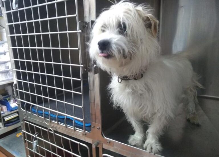 multimedia-foto63298-871-1