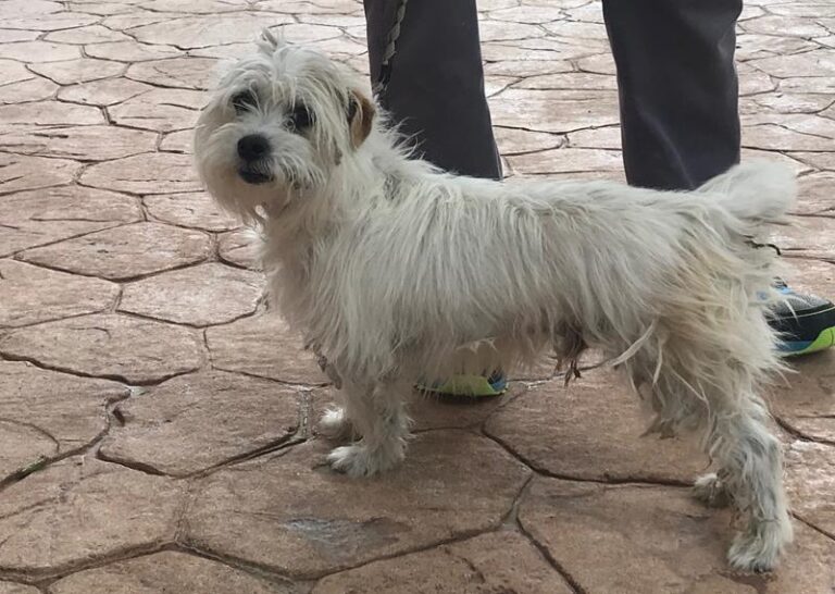 multimedia-foto63299-871-1