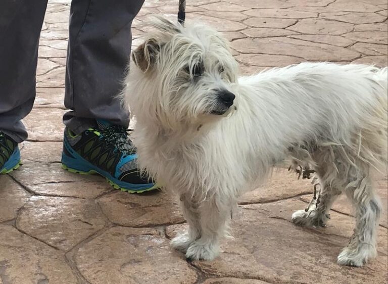 multimedia-foto63300-871-1