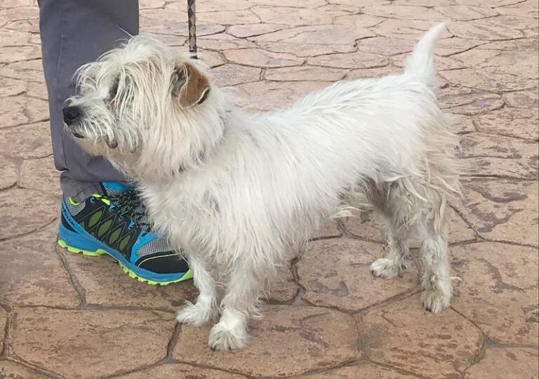 multimedia-foto63301-871-1