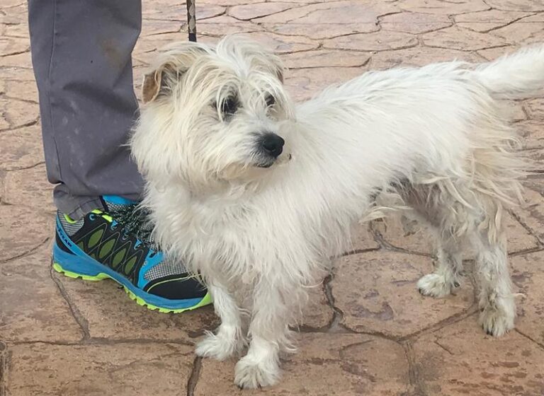 multimedia-foto63302-872-1