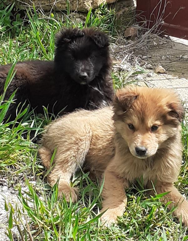 multimedia-foto63310-747-1