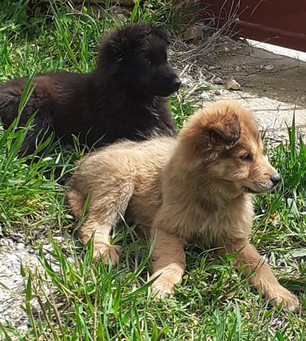 multimedia-foto63311-747-1