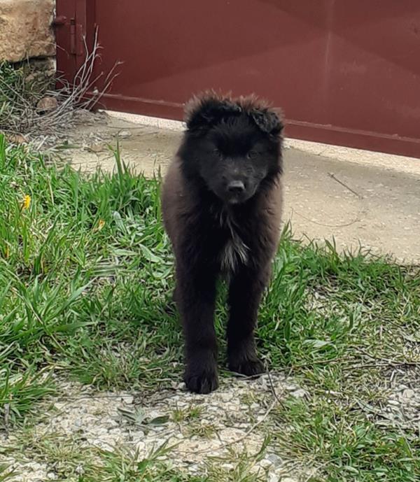 multimedia-foto63312-747-1