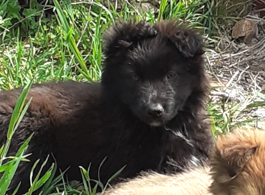 multimedia-foto63313-748-1