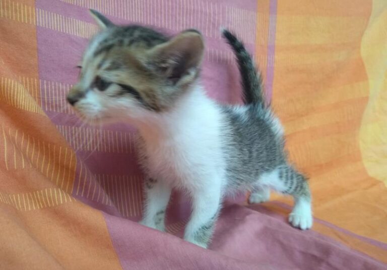 multimedia-foto63314-192-1