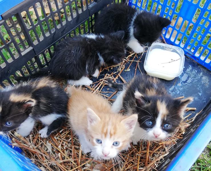 multimedia-foto63391-846-1