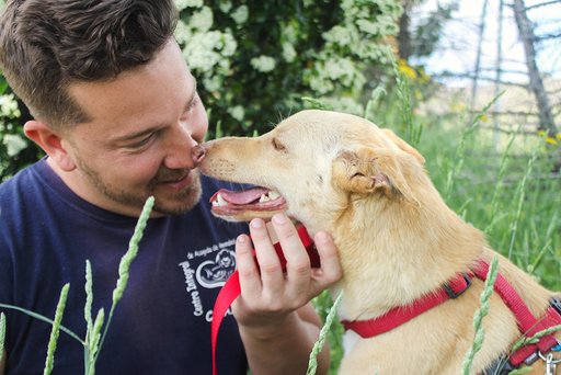 multimedia-foto63404-563-1