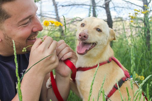 multimedia-foto63405-564-1