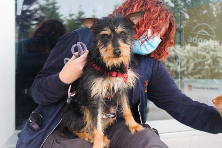 multimedia-foto63421-449-1