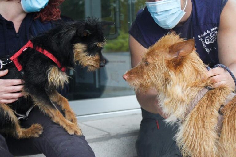 multimedia-foto63422-449-1