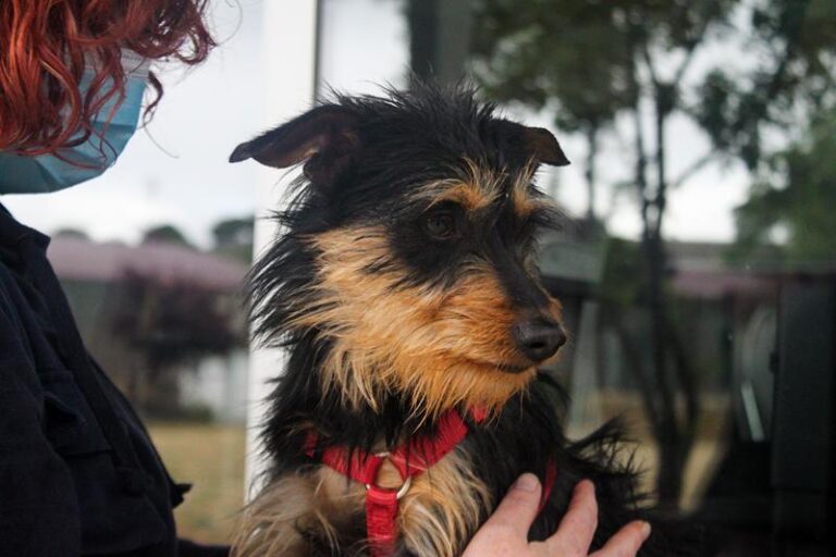 multimedia-foto63423-449-1