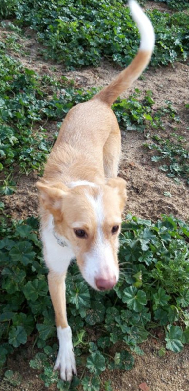 multimedia-foto63425-850-1