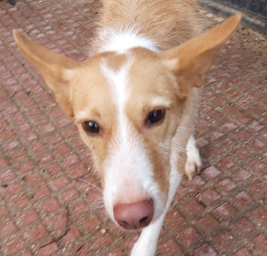 multimedia-foto63426-850-1