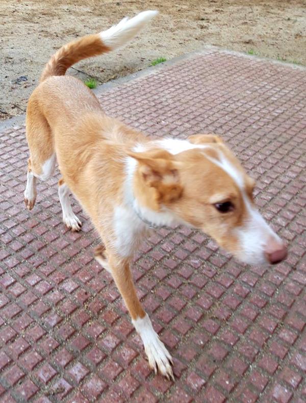 multimedia-foto63427-850-1