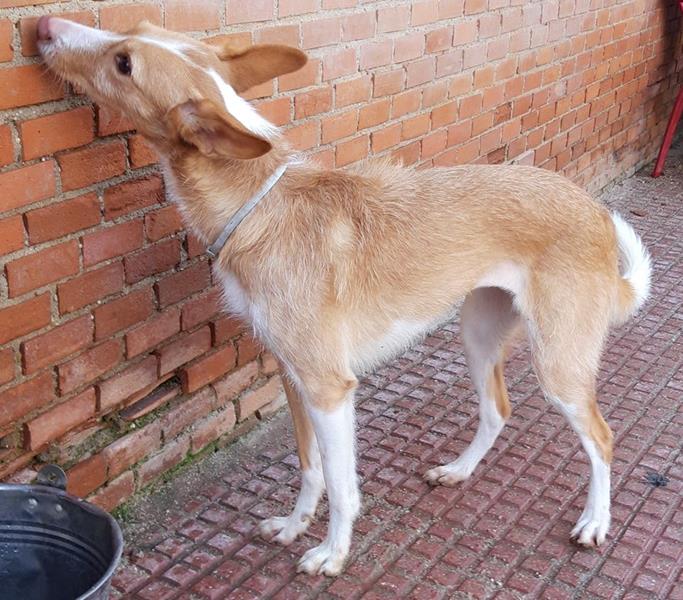 multimedia-foto63429-851-1