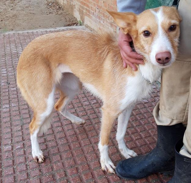 multimedia-foto63430-851-1