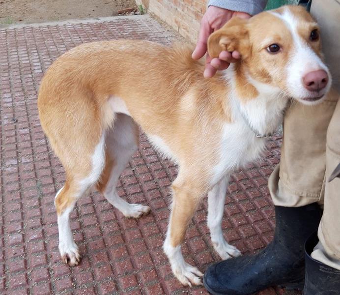 multimedia-foto63431-851-1