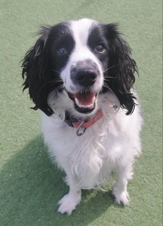 multimedia-foto63432-100-1