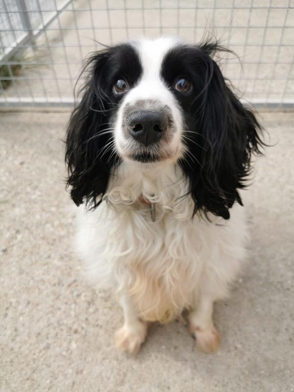 multimedia-foto63433-100-1