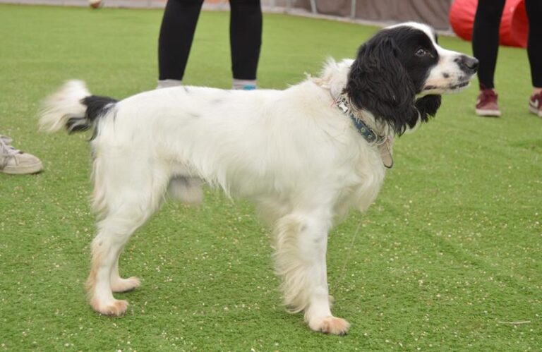 multimedia-foto63434-100-1