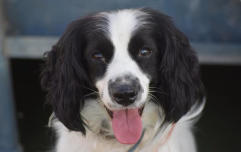 multimedia-foto63435-100-1