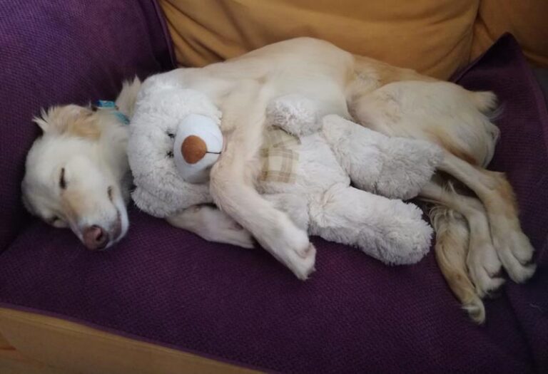 multimedia-foto63441-600-1