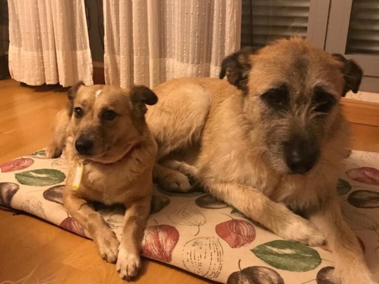 multimedia-foto63444-666-1