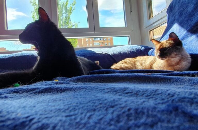 multimedia-foto63447-884-1