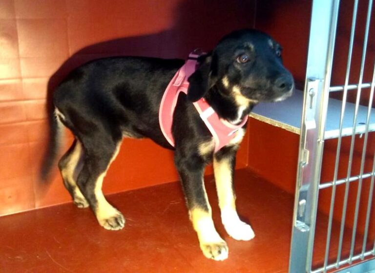 multimedia-foto63451-230-1