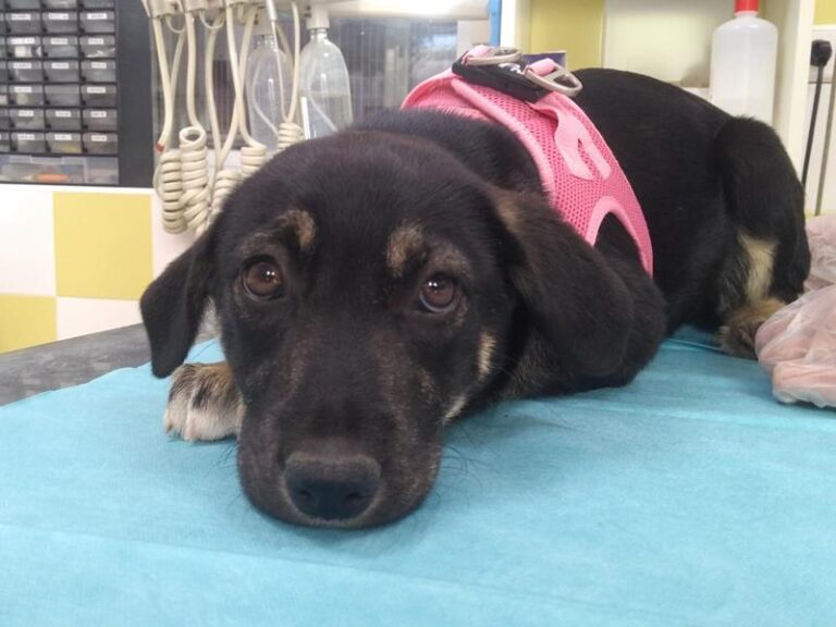 multimedia-foto63454-231-1