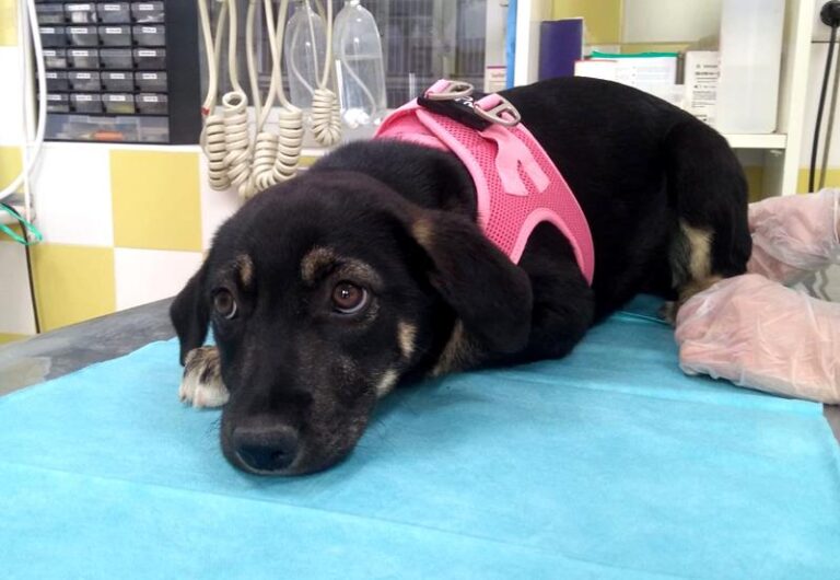 multimedia-foto63455-231-1