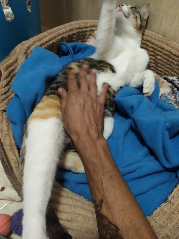 multimedia-foto63458-268-1