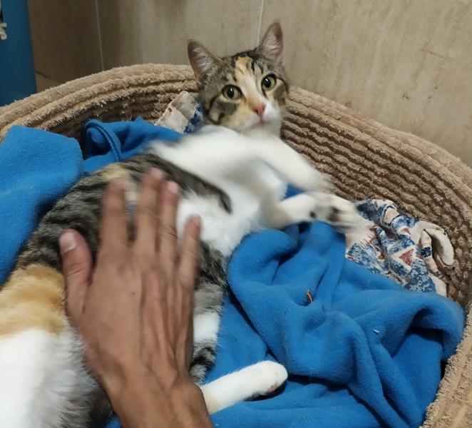 multimedia-foto63459-268-1