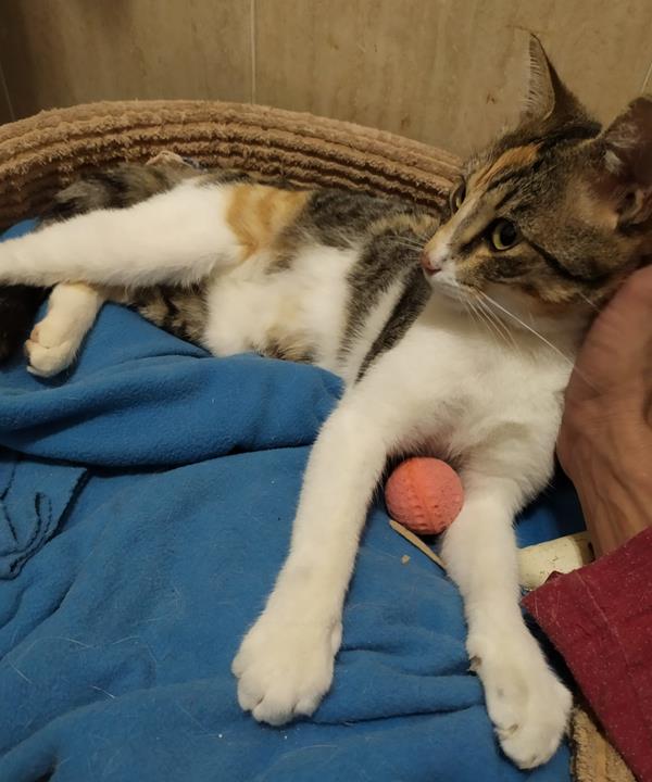 multimedia-foto63460-269-1