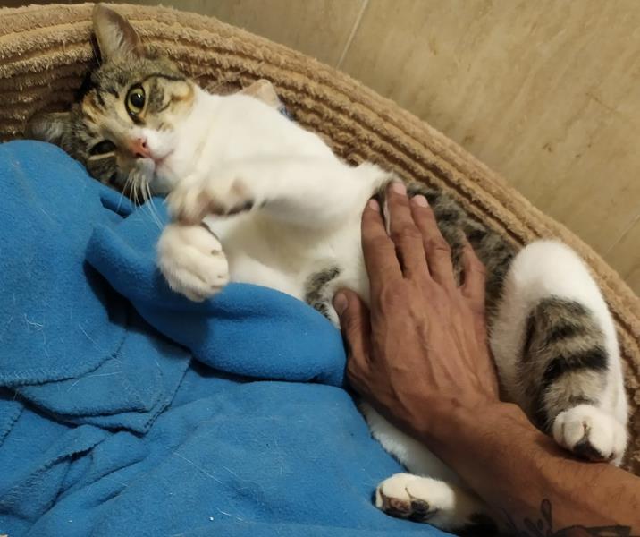 multimedia-foto63461-269-1