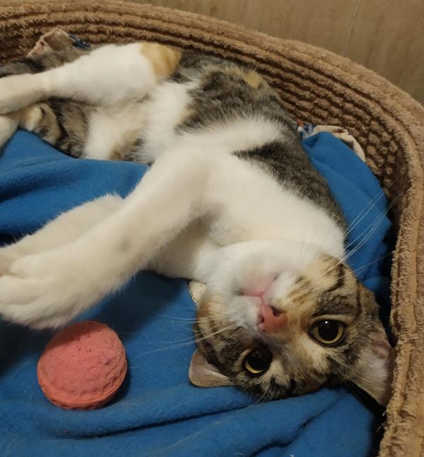 multimedia-foto63462-269-1