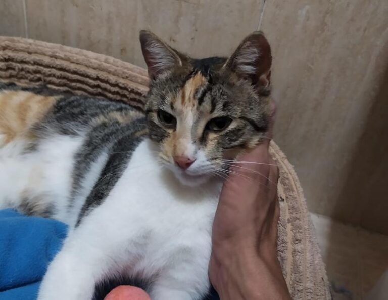 multimedia-foto63463-269-1