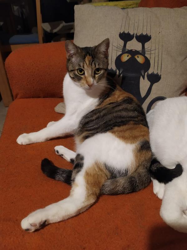 multimedia-foto63464-269-1