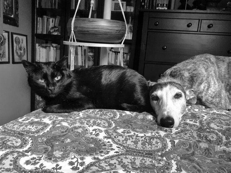 multimedia-foto63475-661-1