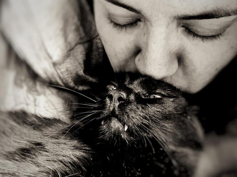 multimedia-foto63476-661-1