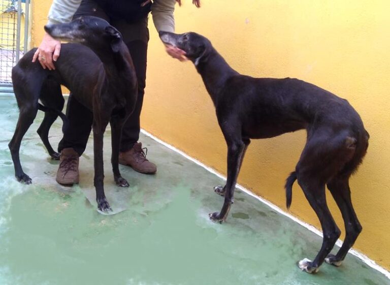 multimedia-foto63503-611-1