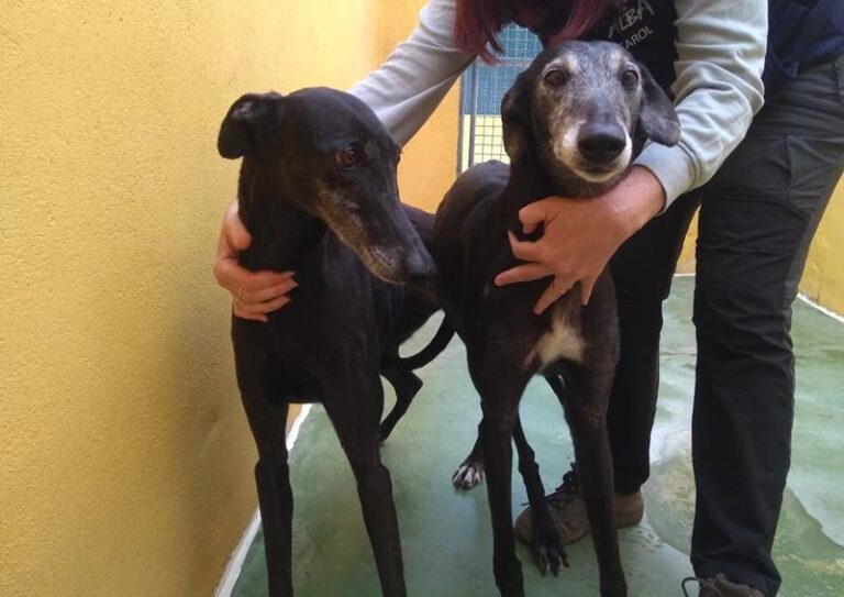 multimedia-foto63505-612-1