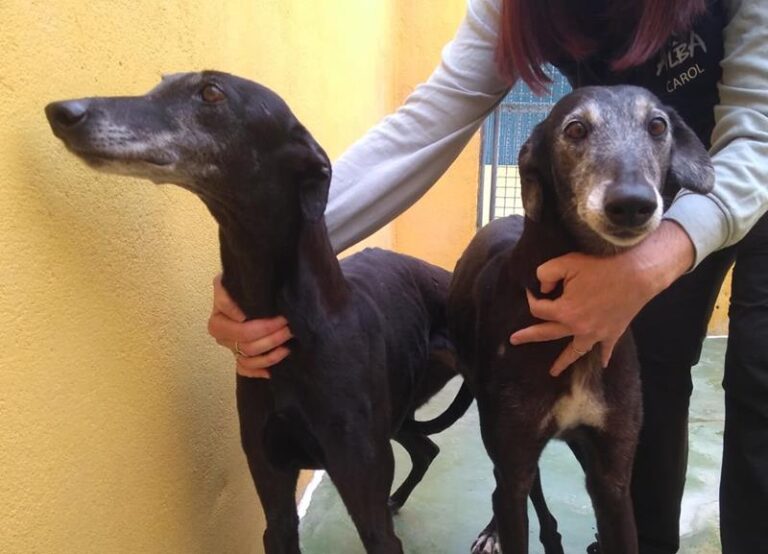 multimedia-foto63506-613-1